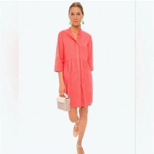 Tuckernuck royal shirt dress XXS